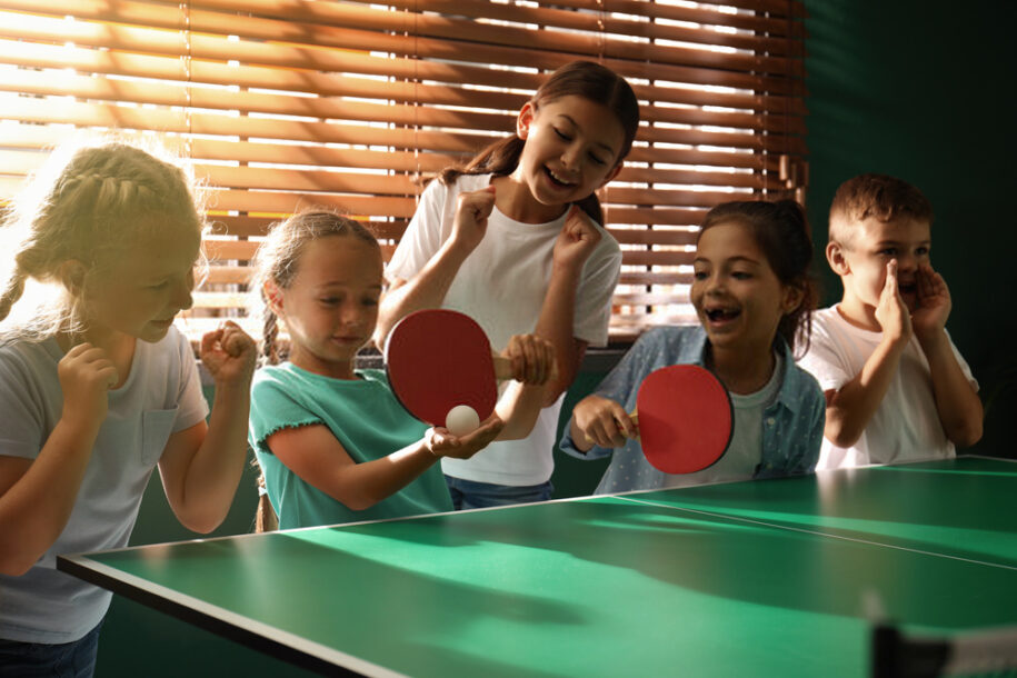 How Much Does a Ping Pong Game Table Cost? Tescount